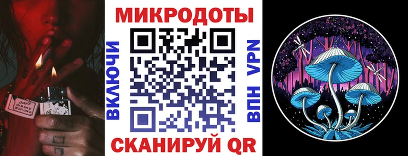 Псилоцибиновые грибы Psilocybine cubensis  Питкяранта 